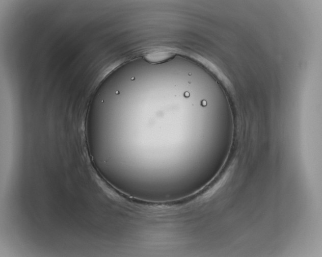 X0000111500897200907211028