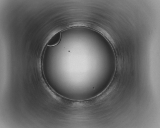 X0000111500898200907211028