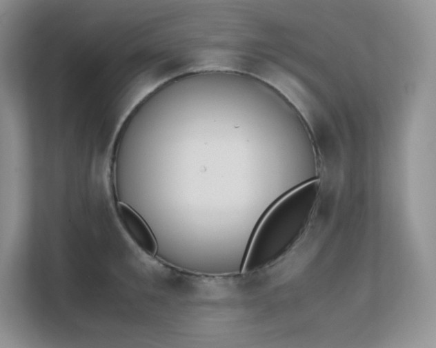 X0000111500901200907211028