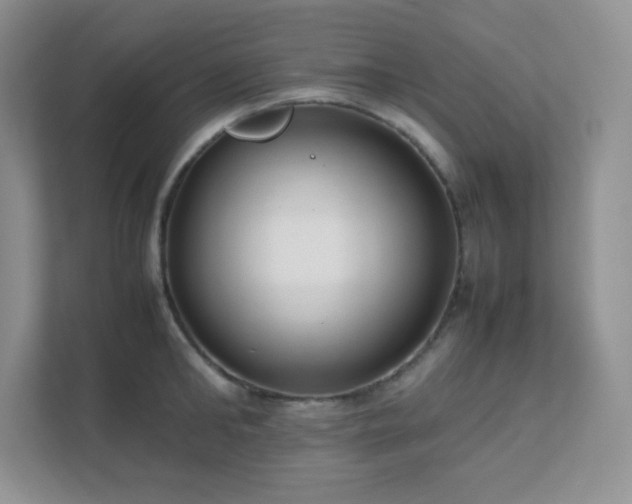 X0000111500902200907211028