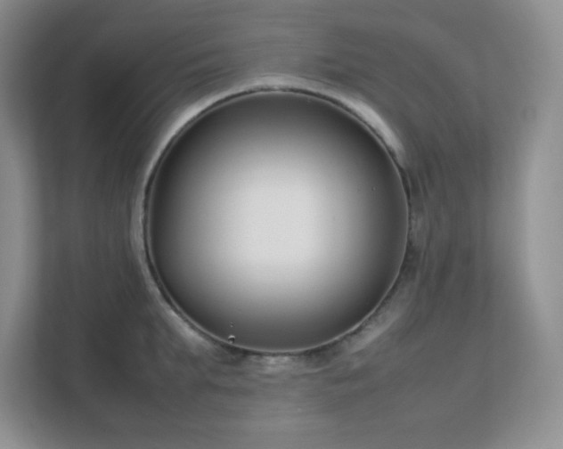 X0000111500903200907211028