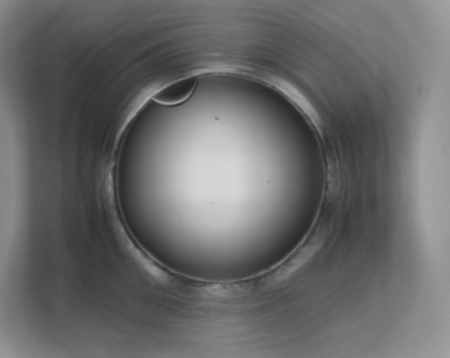 X0000111500906200907211028