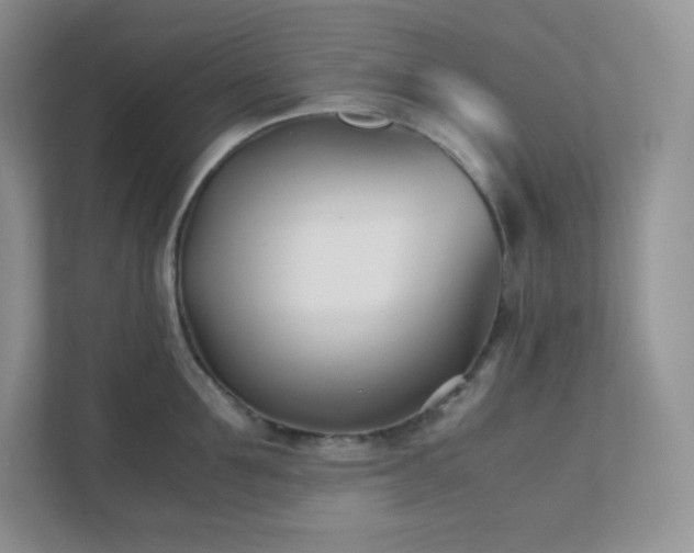 X0000111500907200907211028