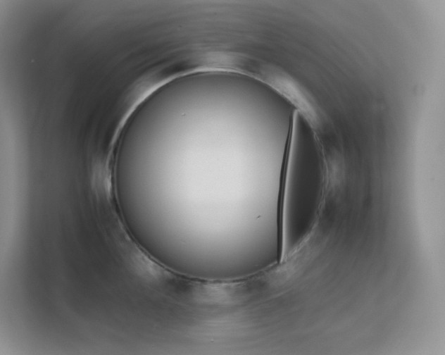 X0000111500908200907211028