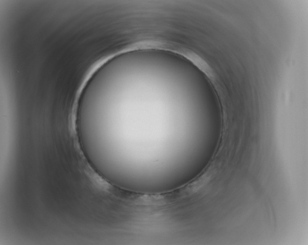 X0000111500912200907211028