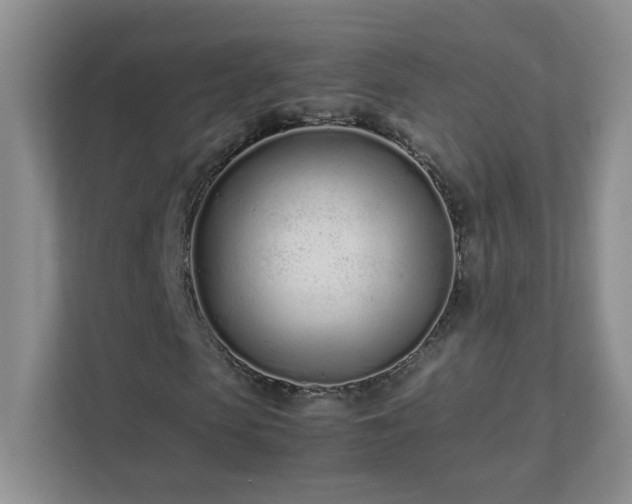 X0000111500913200907211027