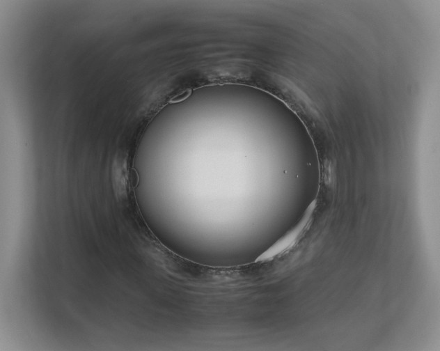 X0000111500915200907211027