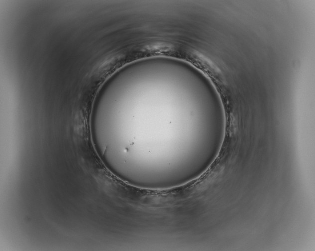 X0000111500917200907211027