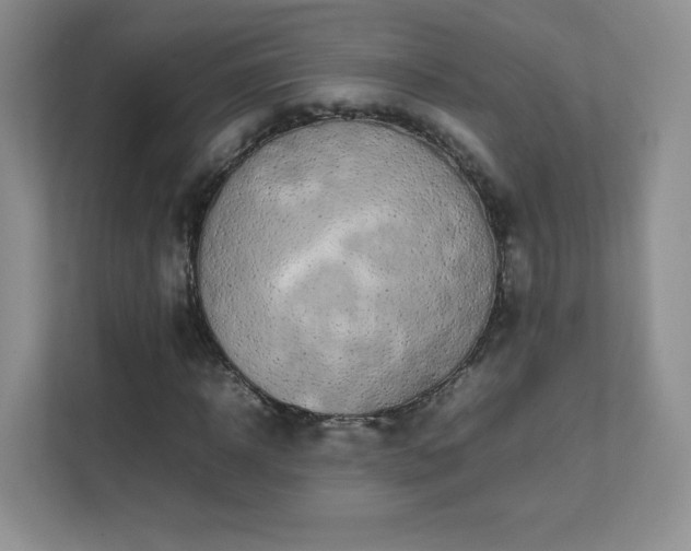 X0000111500918200907211027