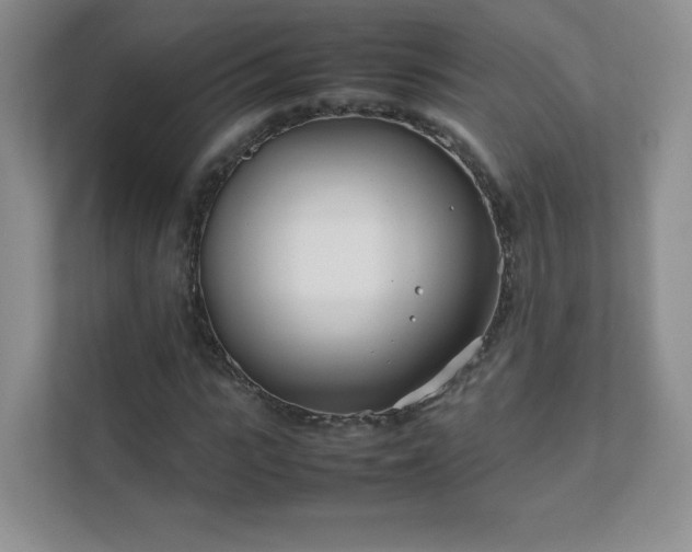 X0000111500919200907211027