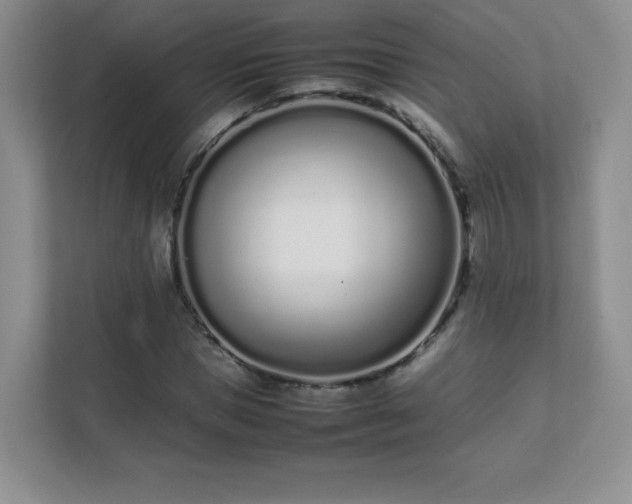 X0000111500921200907211027