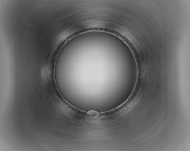 X0000111500922200907211027