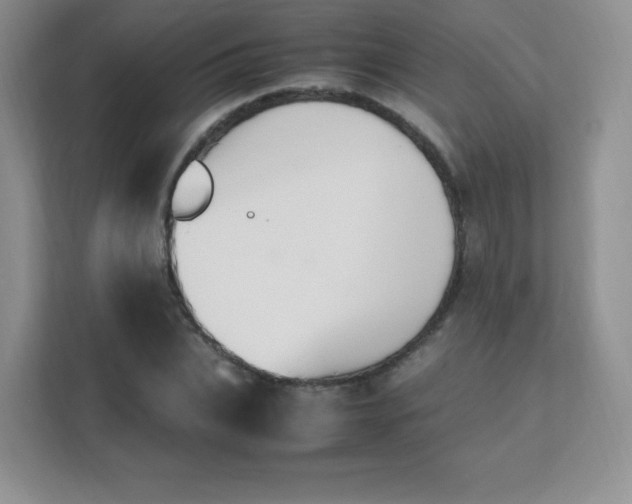 X0000111500927200907211027