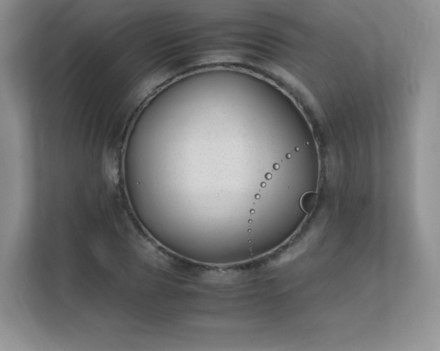 X0000111500929200907211027