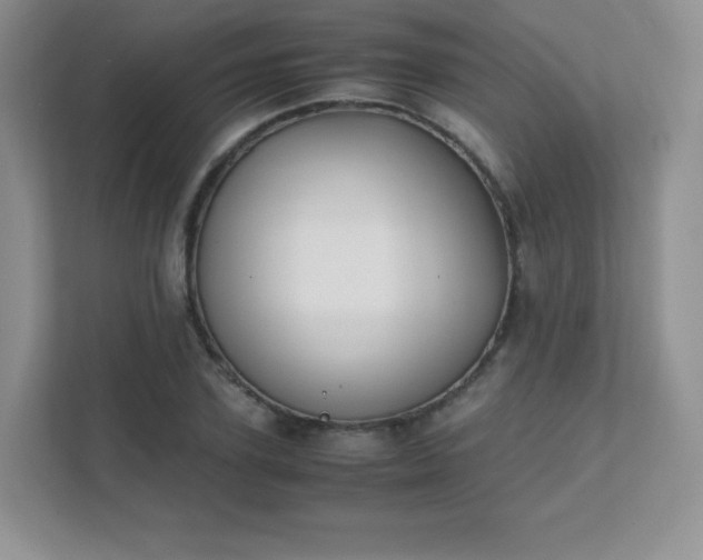 X0000111500931200907211027