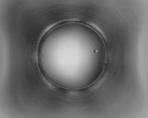 X0000111500935200907211027