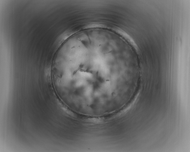 X0000111500937200907211027