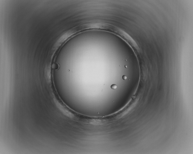 X0000111500938200907211027