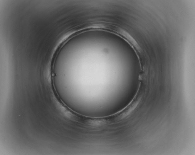 X0000111500939200907211027