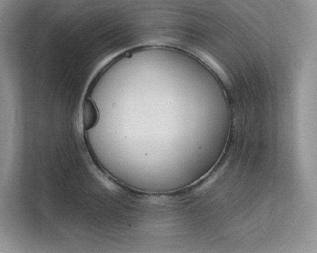 X0000111500940200907211027