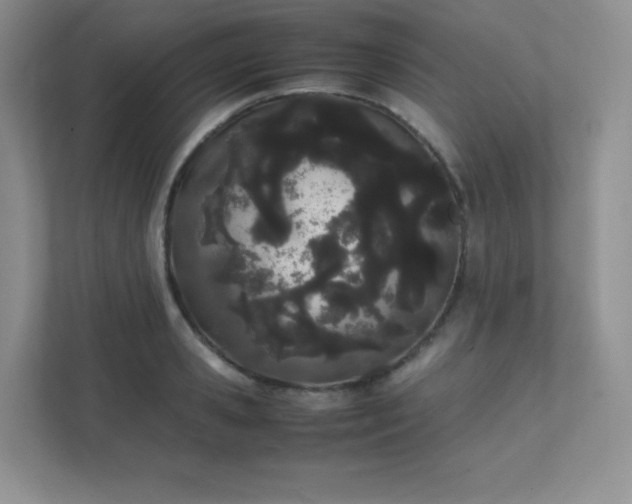 X0000111500941200907211027