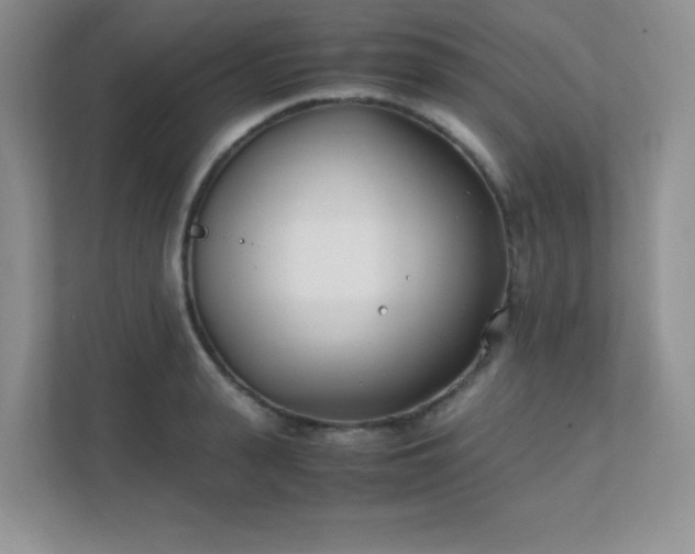 X0000111500943200907211027