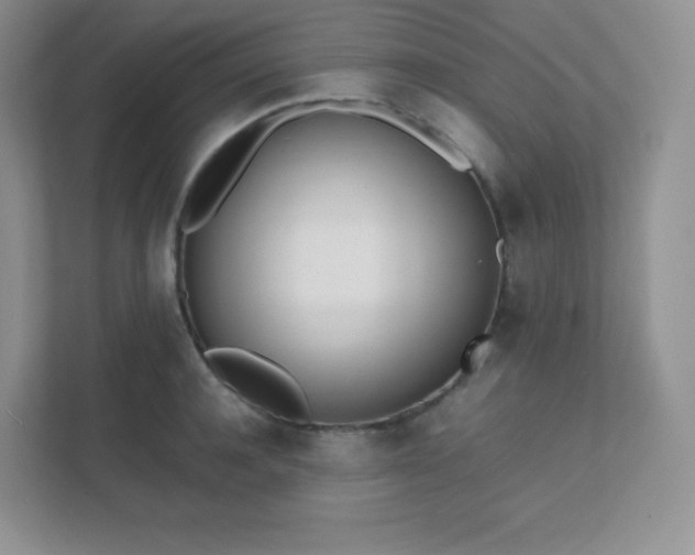 X0000111500944200907211027