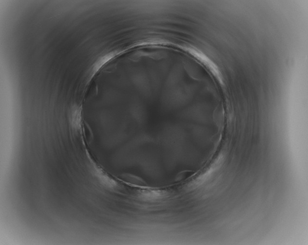 X0000111500945200907211027