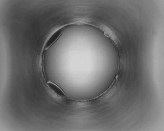 X0000111500948200907211027