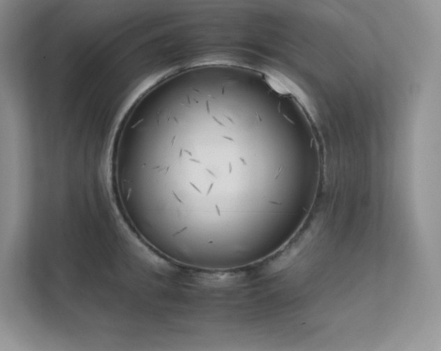 X0000111500949200907211027