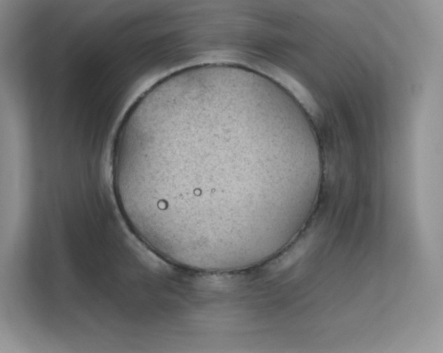 X0000111500950200907211027