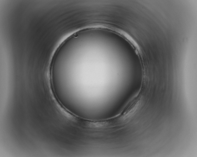 X0000111500951200907211027