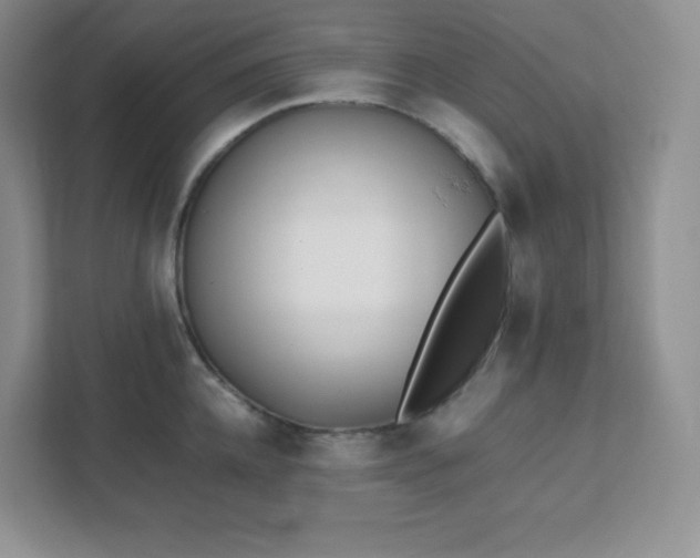 X0000111500952200907211027