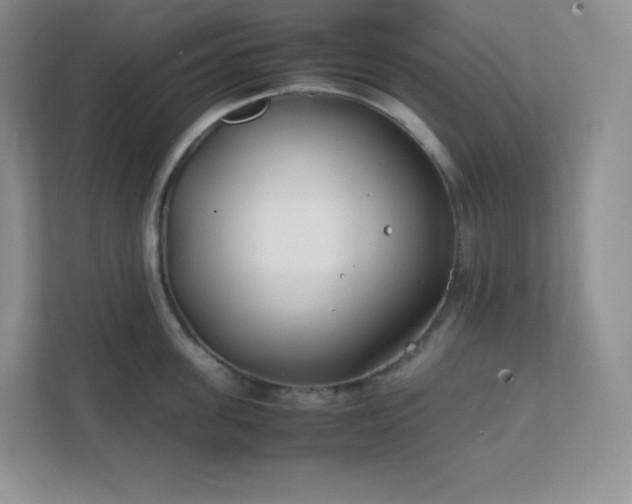 X0000111500955200907211027