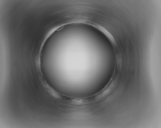 X0000111500956200907211027