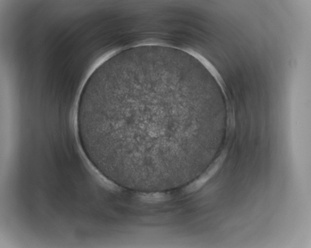 X0000111500957200907211027