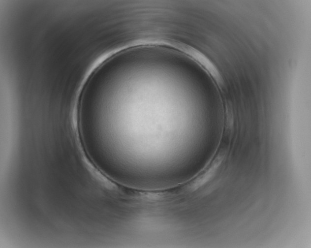 X0000111500958200907211027