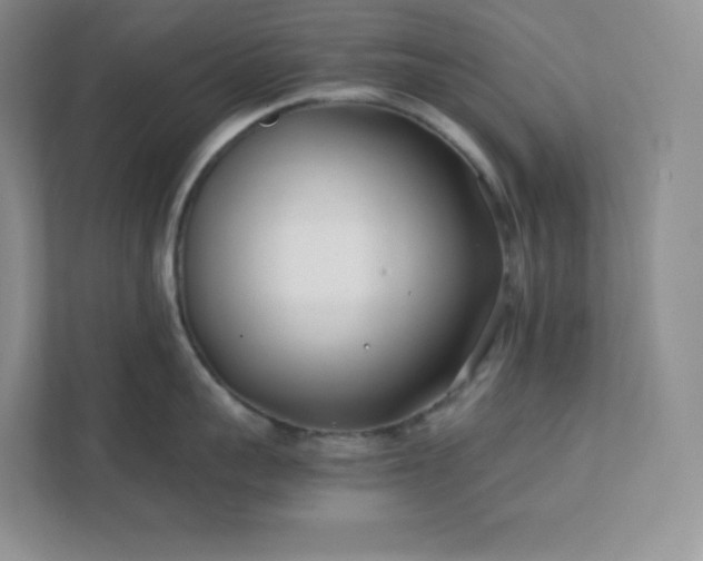 X0000111500959200907211028