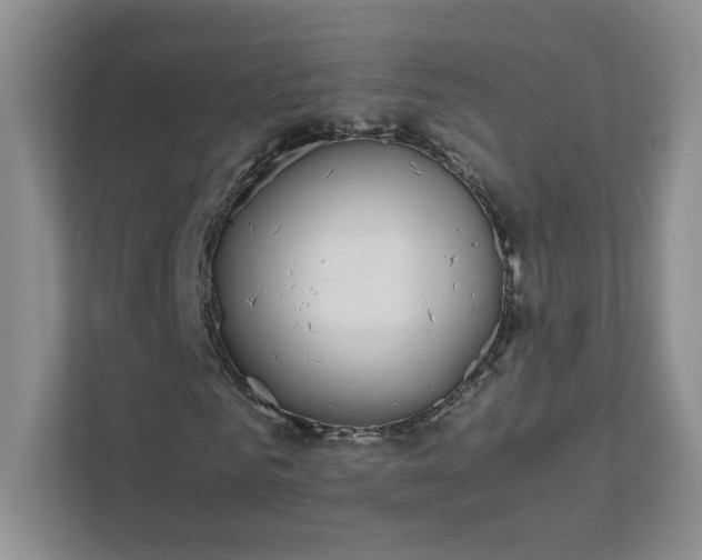 X0000111500961200907211027