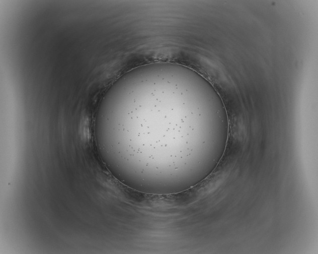 X0000111500962200907211027