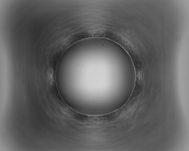 X0000111500963200907211027