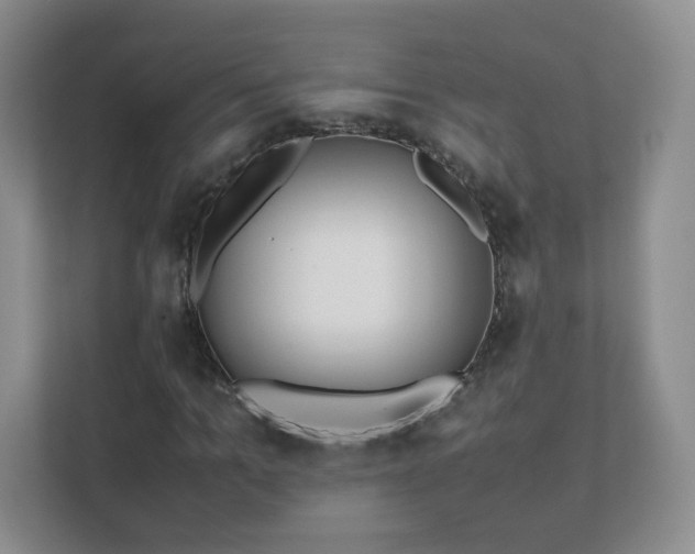 X0000111500965200907211027