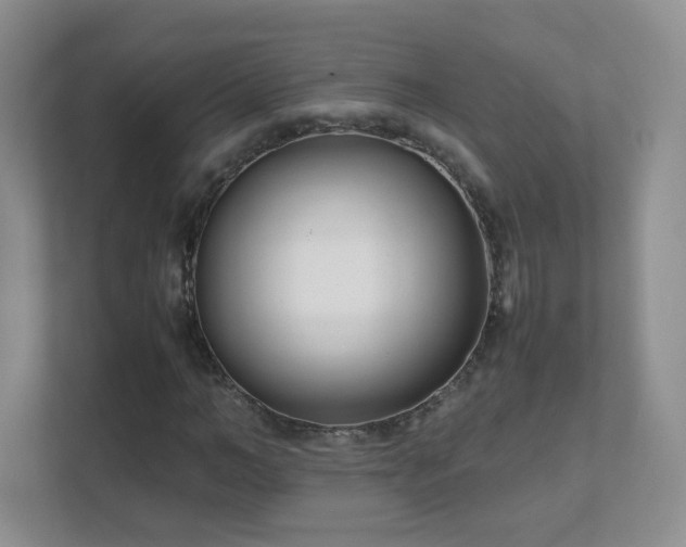 X0000111500966200907211027