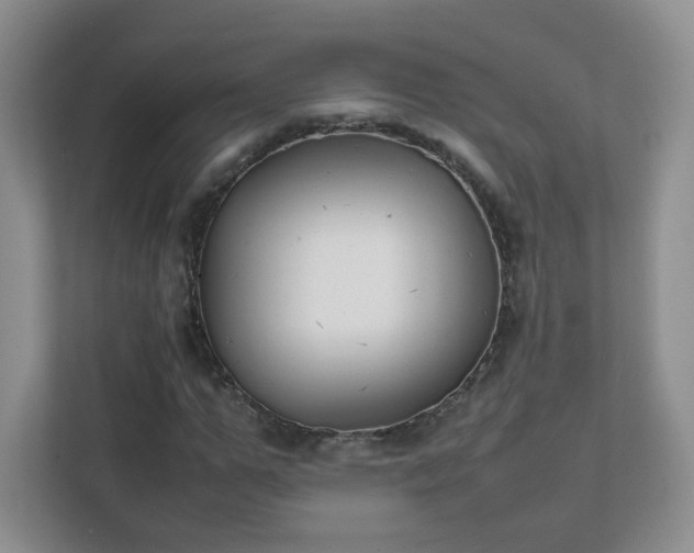 X0000111500967200907211027