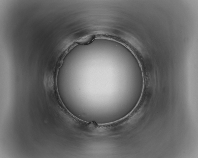 X0000111500969200907211027