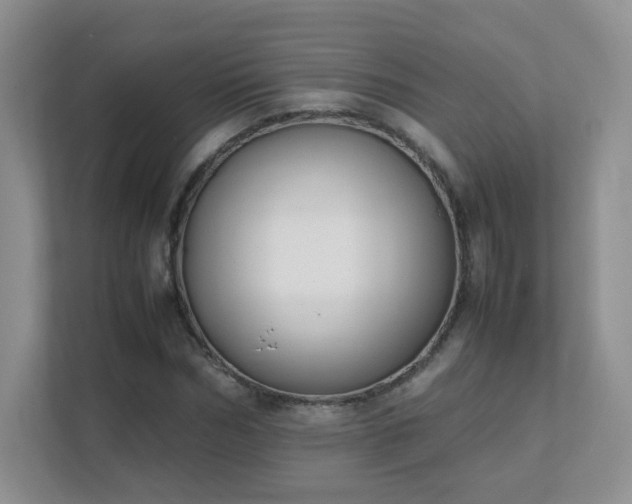 X0000111500970200907211027