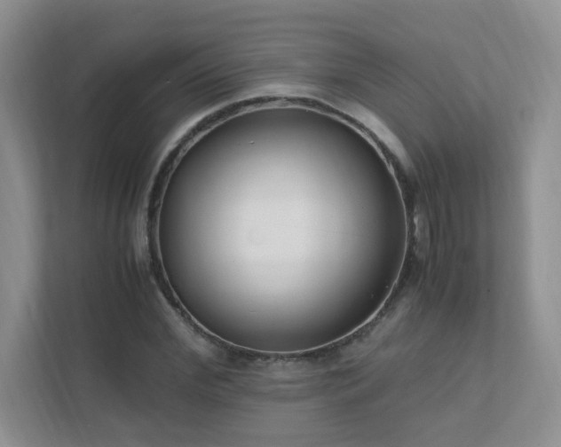 X0000111500972200907211027