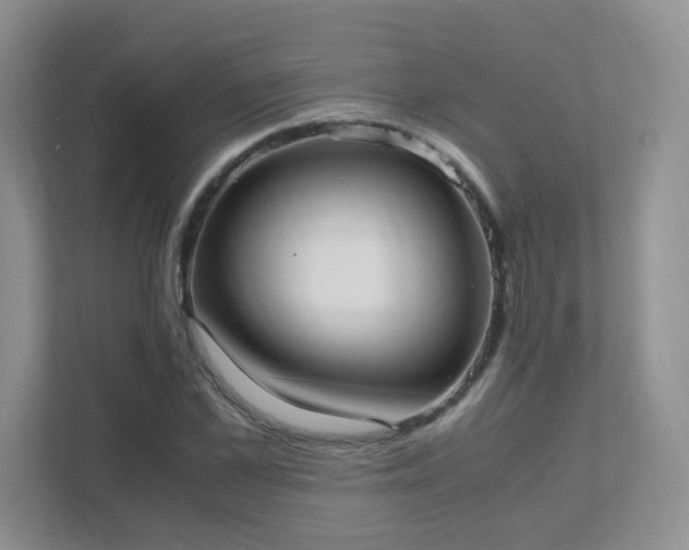 X0000111500973200907211027