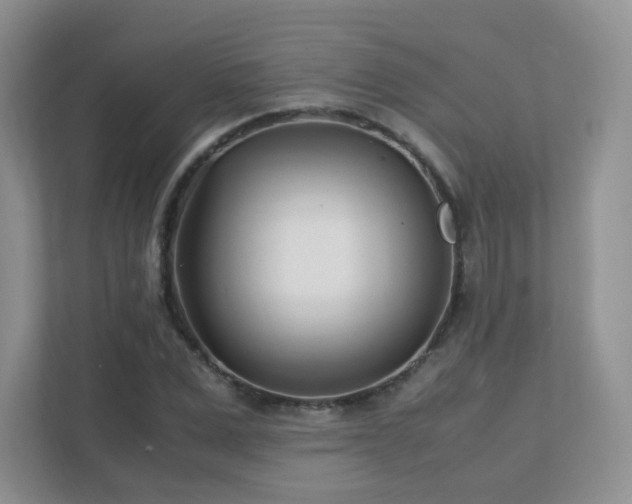 X0000111500975200907211027