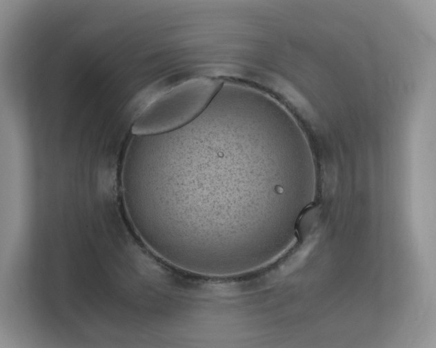 X0000111500977200907211027